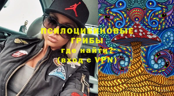 мдпв Арсеньев