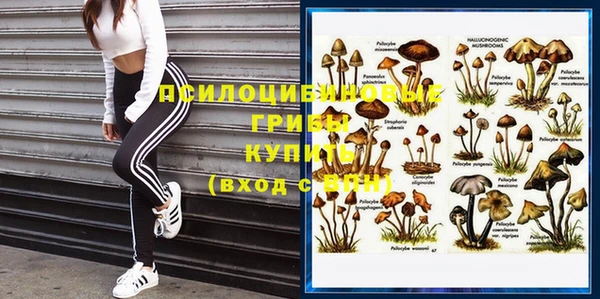 кокс Армянск