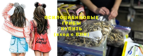 мдпв Арсеньев