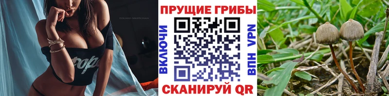 Псилоцибиновые грибы ЛСД  Асбест 